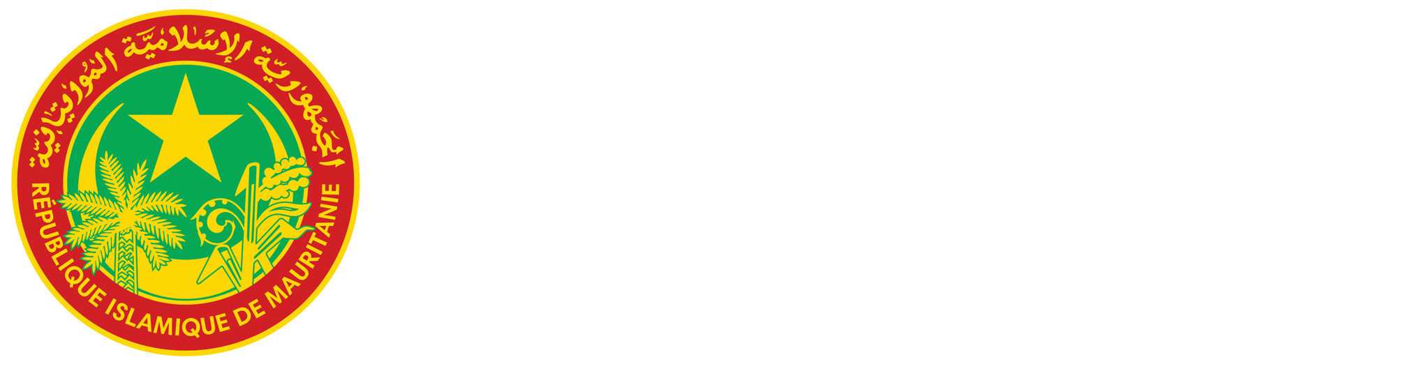 الرئيسية